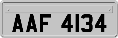 AAF4134