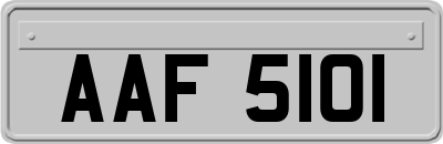 AAF5101