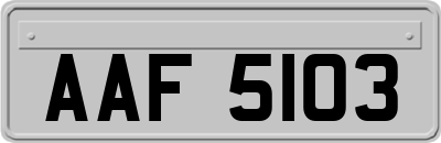 AAF5103