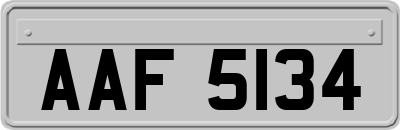 AAF5134