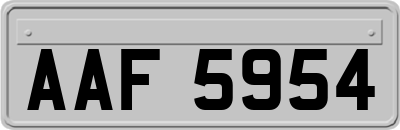 AAF5954