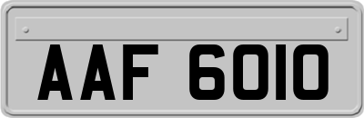 AAF6010