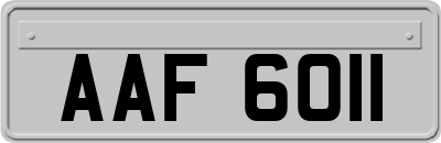 AAF6011