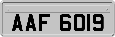 AAF6019