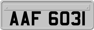 AAF6031