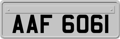 AAF6061