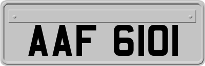 AAF6101