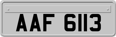 AAF6113