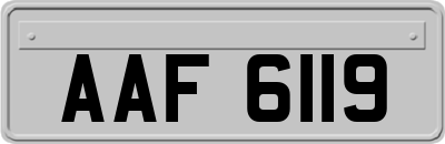 AAF6119