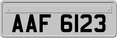 AAF6123