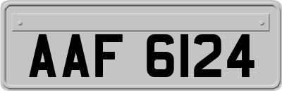 AAF6124