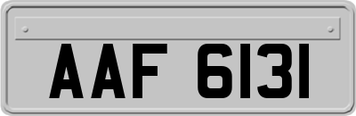 AAF6131