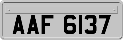 AAF6137