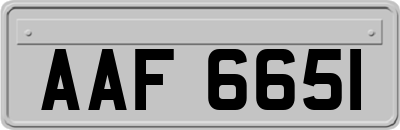 AAF6651