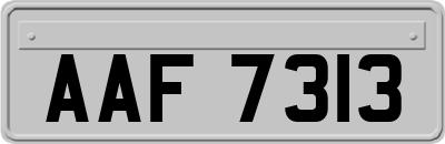 AAF7313