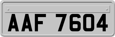 AAF7604