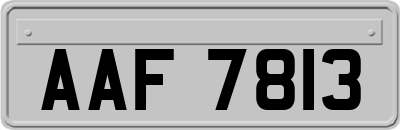 AAF7813