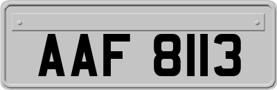 AAF8113