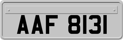 AAF8131