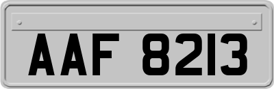 AAF8213