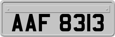 AAF8313