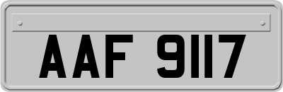 AAF9117