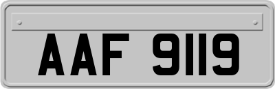 AAF9119