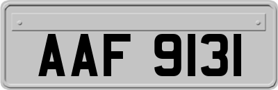 AAF9131