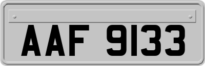 AAF9133