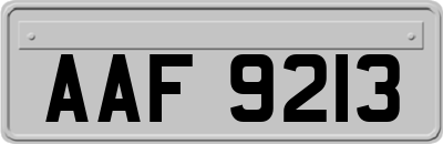 AAF9213