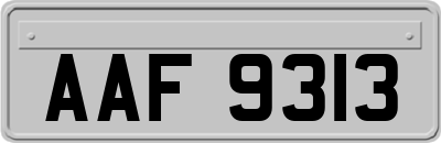 AAF9313