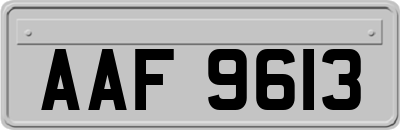 AAF9613