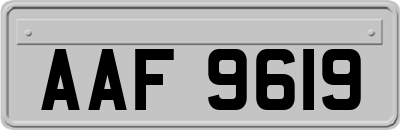 AAF9619