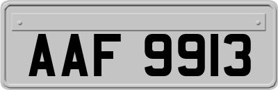 AAF9913