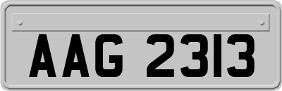 AAG2313