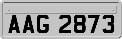 AAG2873