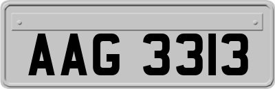 AAG3313