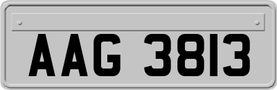 AAG3813