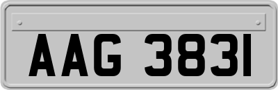 AAG3831