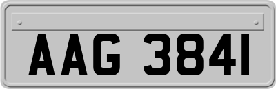 AAG3841