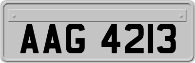 AAG4213