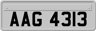 AAG4313