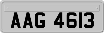 AAG4613