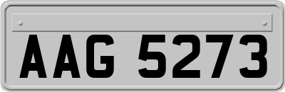 AAG5273