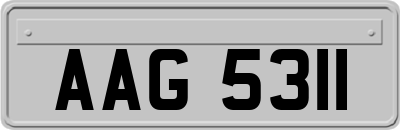 AAG5311