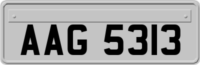 AAG5313