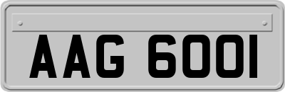 AAG6001