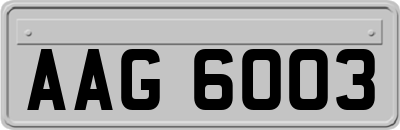 AAG6003