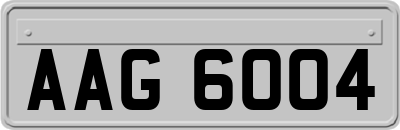 AAG6004