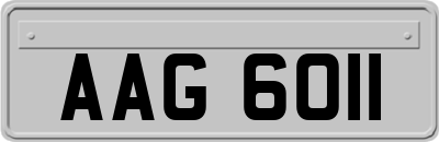 AAG6011